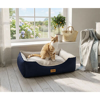 Lepus Dolce Premium Blue Pet Bed Soft Baby Face Fabric Medium