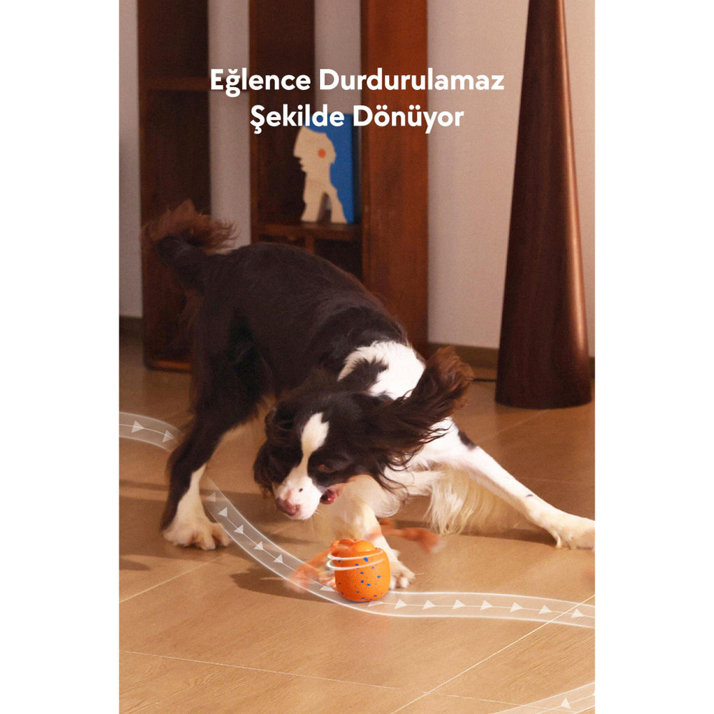 Cheerble Wicked Ball Rolly Interactive Moving Dog Toy Orange