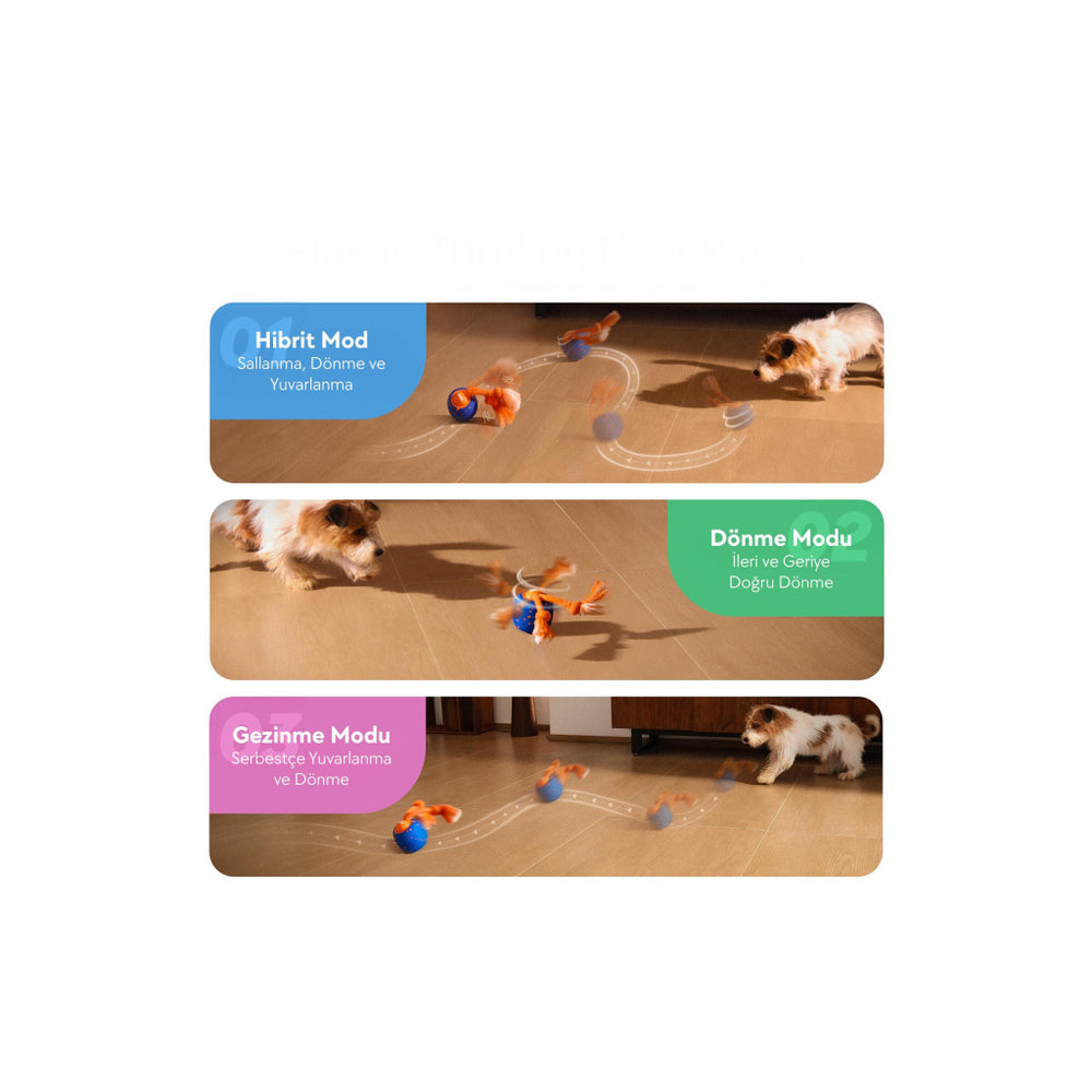 Cheerble Wicked Ball Rolly Interactive Dog Toy Blue