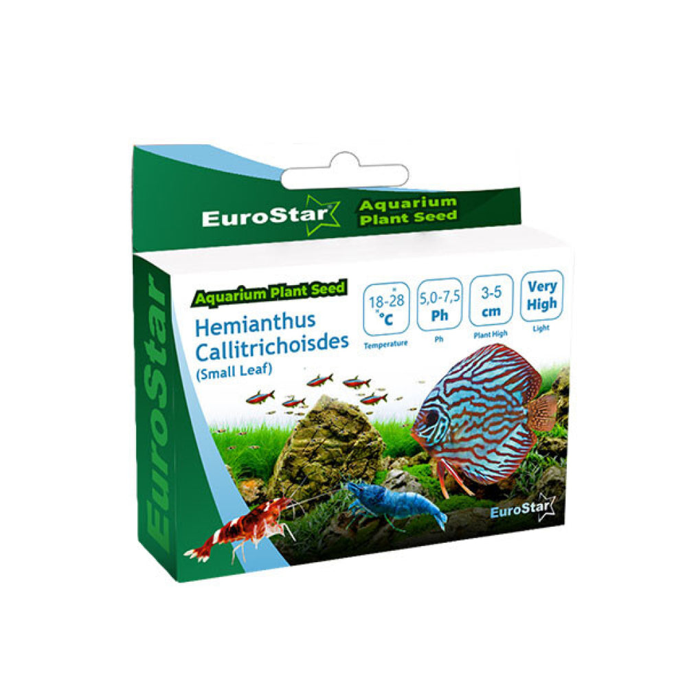 Eurostar Aquarium Plant Seeds for Lush Greenery 30x30cm