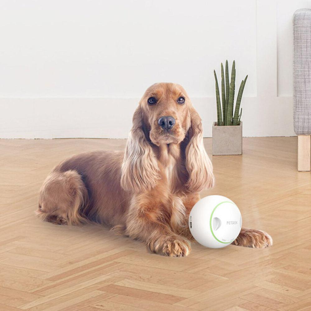Gigwi Petgeek Interactive Food Dispensing Dog Toy 380ml