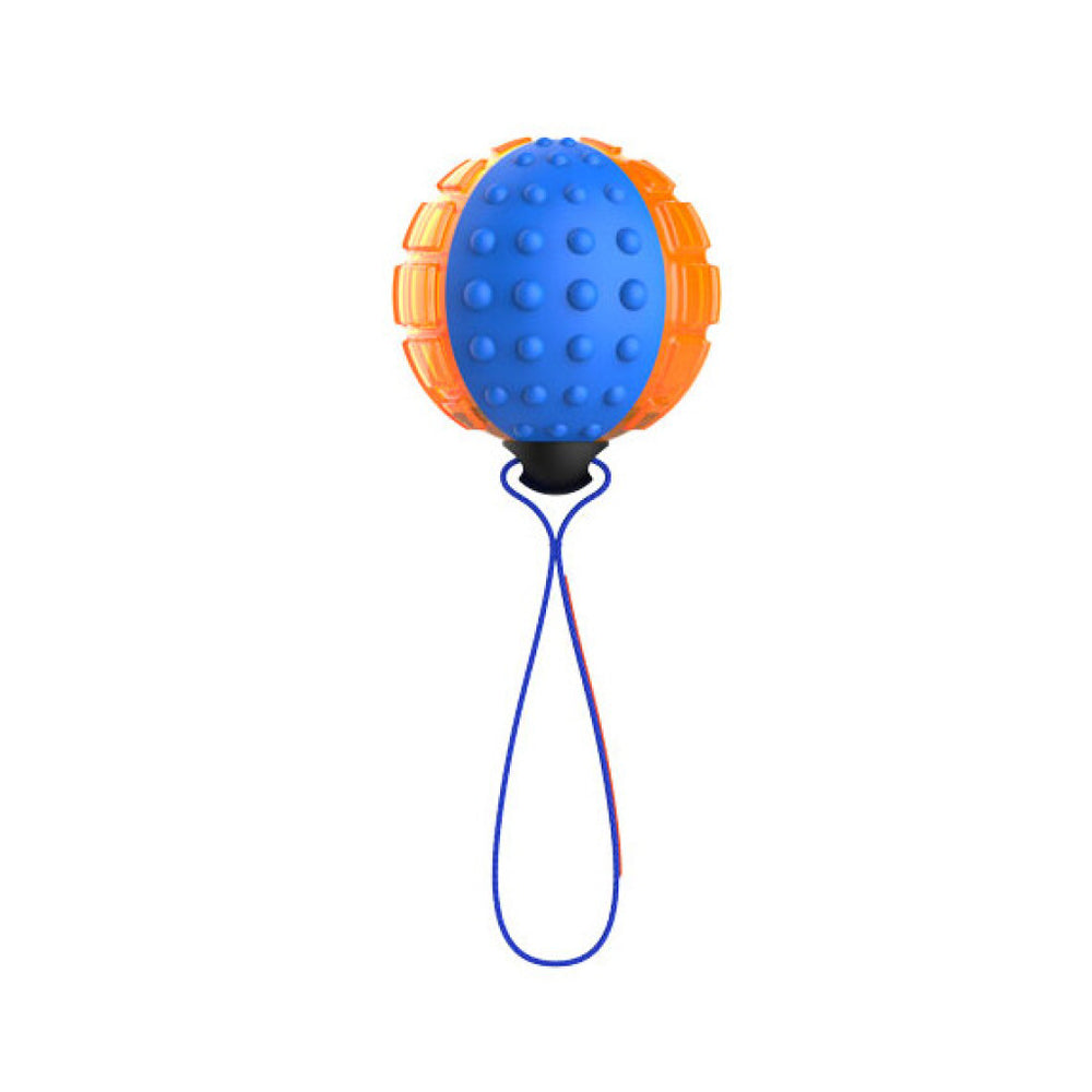 Gigwi Sound Controlled Ball Dog Toy with Mute Option