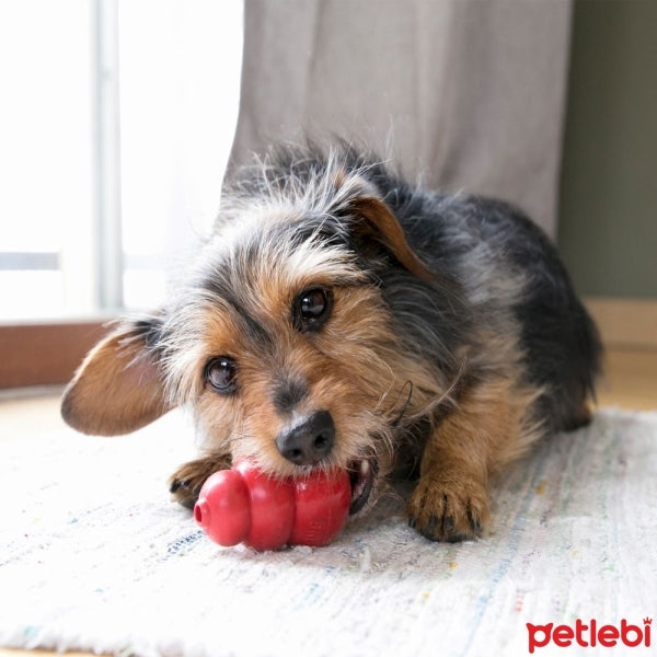 Kong Classic Red Rubber Dog Toy Durable Chew Toy Small 8cm