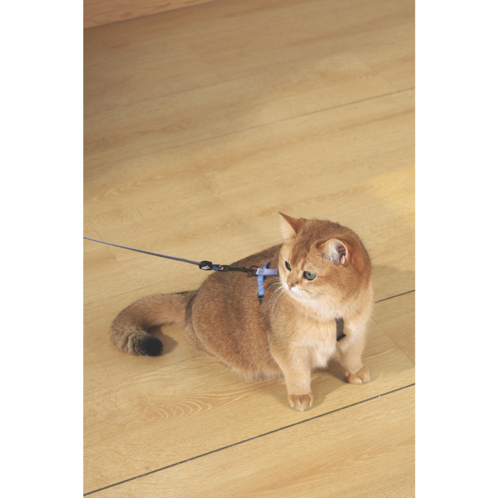 M-Pets Gentle Cat Harness and Leash Set Blue 120cm