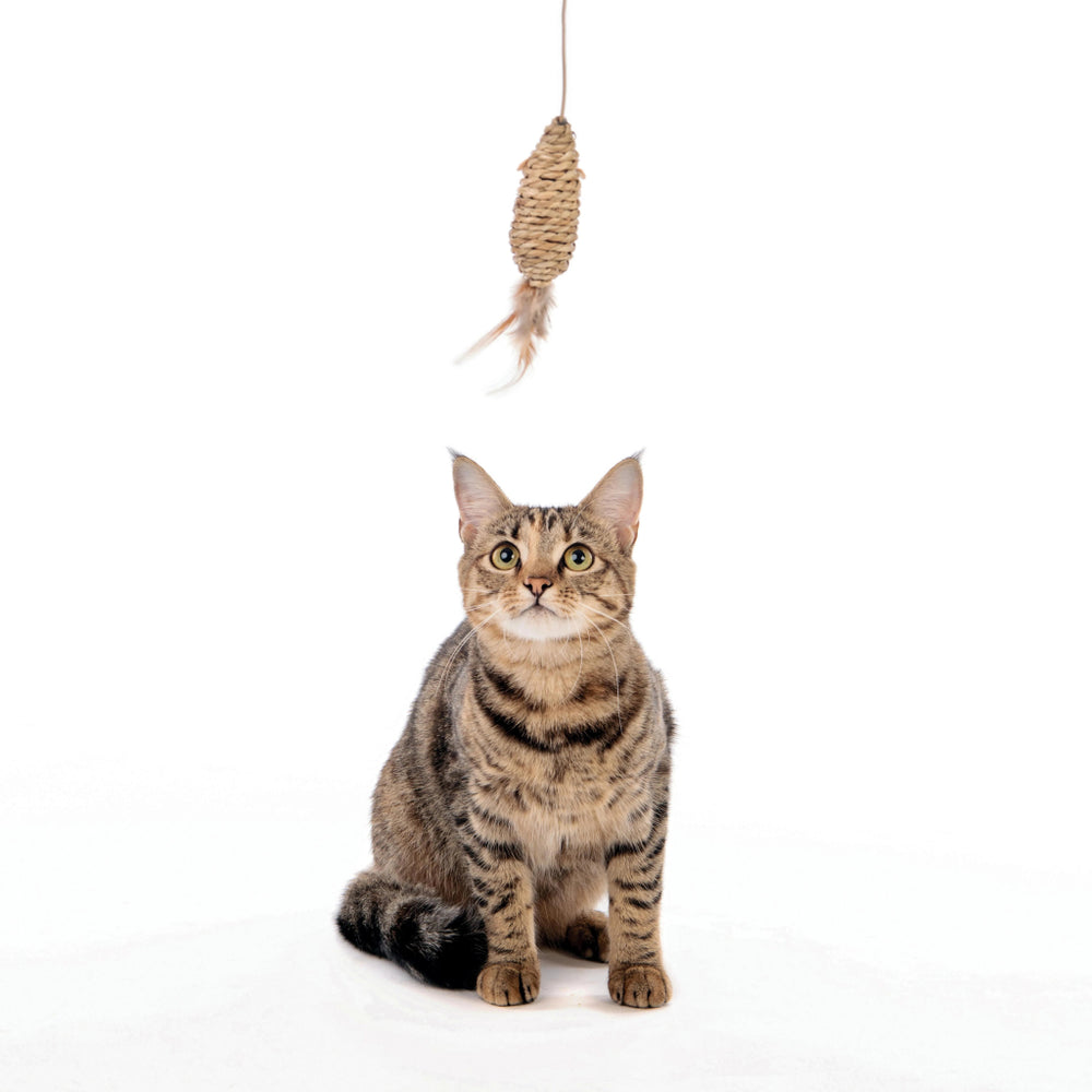 M-Pets Natura Fishing Rod Cat Toy for Active Play 35cm