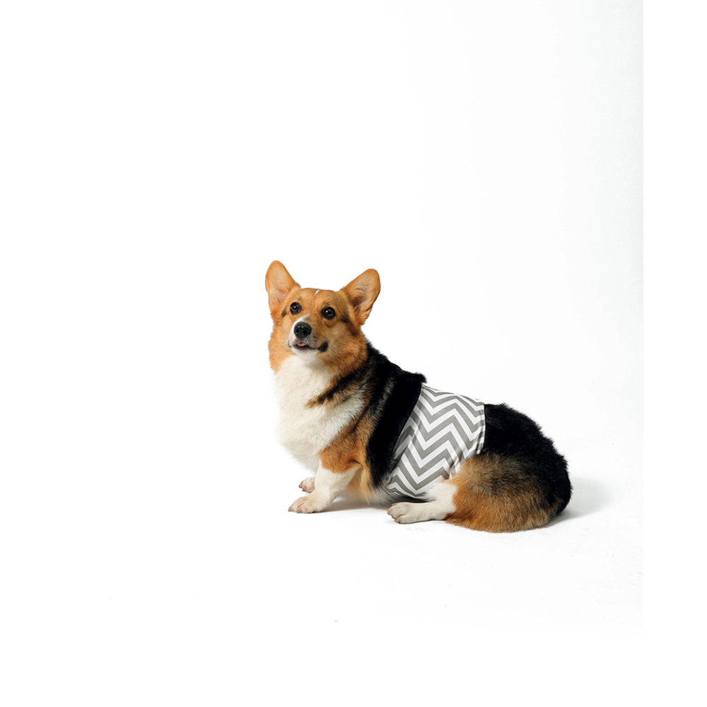 M-Pets Washable Male Dog Diaper for Incontinence L 40.6-50.8cm