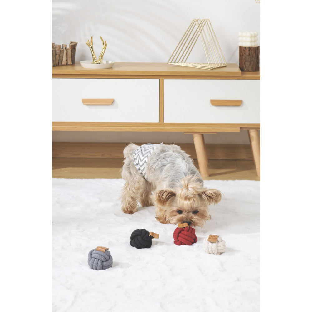 M-Pets Cotton Rope Ball Dog Toy for Dental Care Red 6.5cm