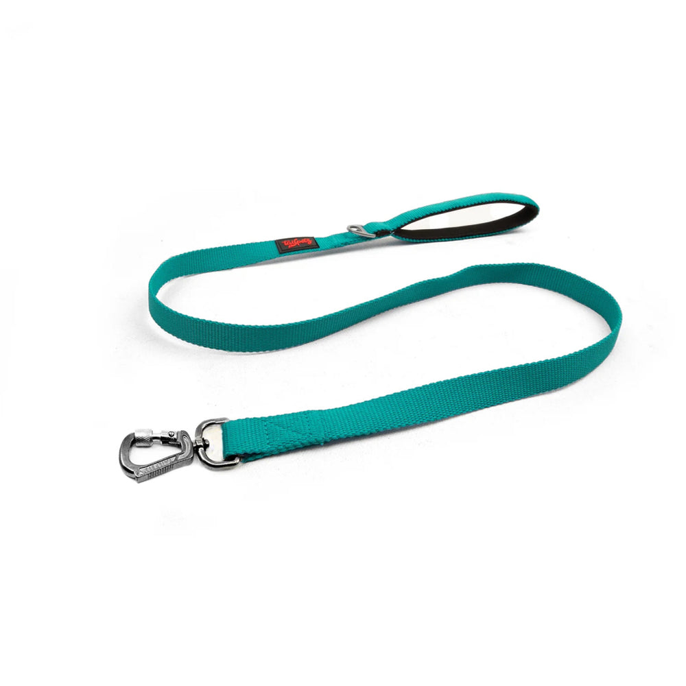 Tailpetz Match Dog Leash Durable Emerald Green 140cm x 2cm