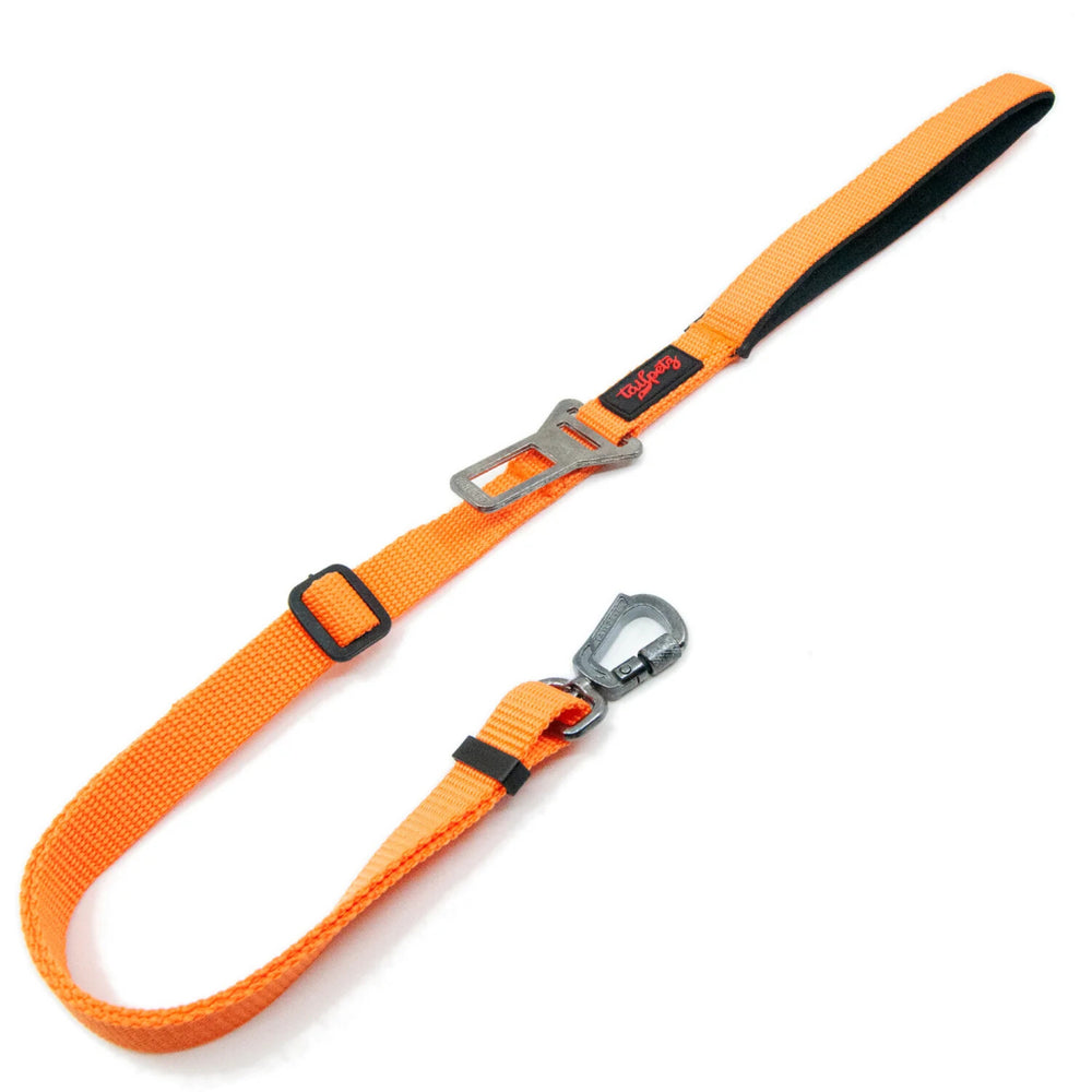 Tailpetz Dog and Cat Leash with Seat Belt Buckle Orange Medium