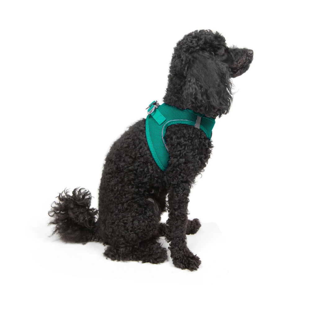 Tailpetz Air-Mesh Small Breed Dog Harness Emerald Green 32-36cm XS