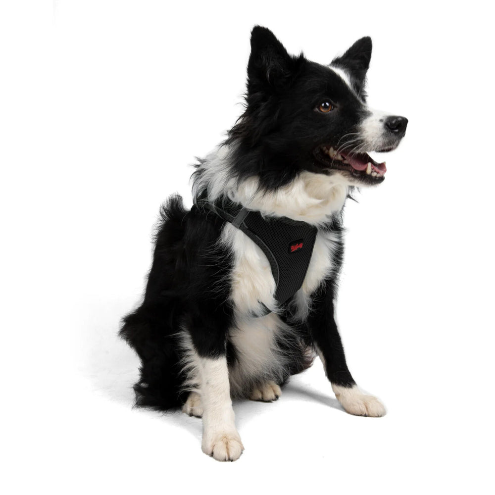 Tailpetz Air-Mesh Dog Harness Breathable Comfort Black XL