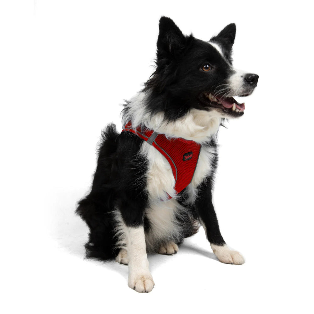 Tailpetz Air-Mesh Dog Harness Cooling Red XL 54-60cm