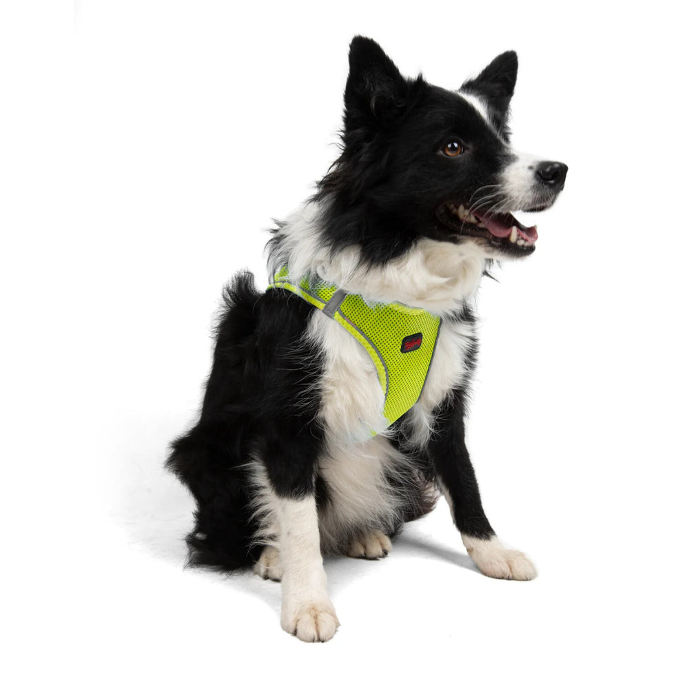 Tailpetz Air-Mesh Dog Harness Cooling Neon Yellow XL 54-60cm