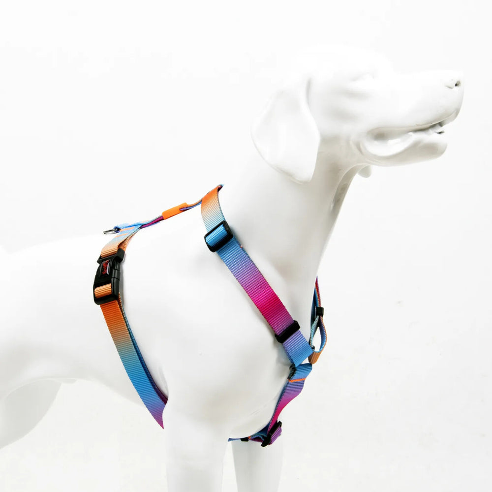 Tailpetz Harness Pass Small Dog Harness Adjustable 32-51cm S