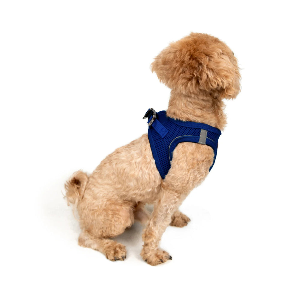Tailpetz Air-Mesh Small Breed Dog Harness Sax Blue 2XS