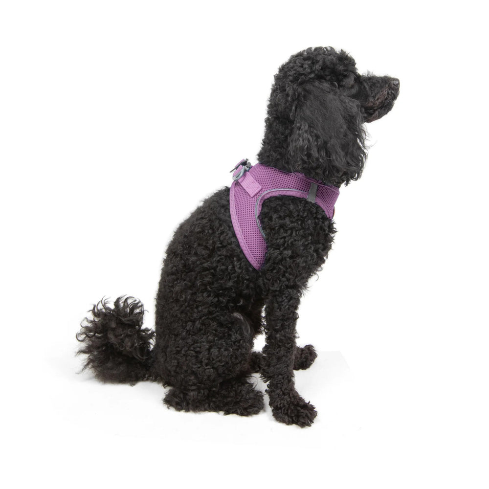 Tailpetz Air-Mesh Dog Harness Comfortable Lilac XS