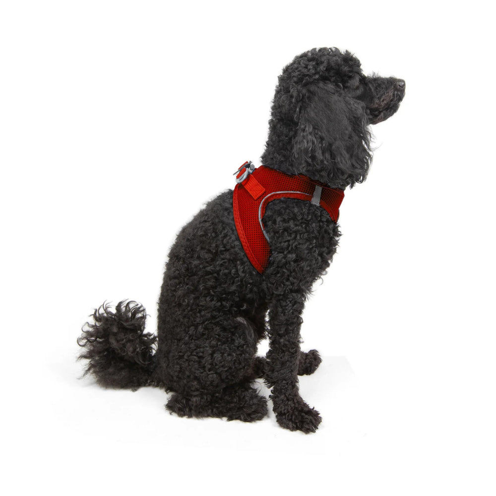 Tailpetz Air-Mesh Small Breed Dog Harness Red 36-44cm S