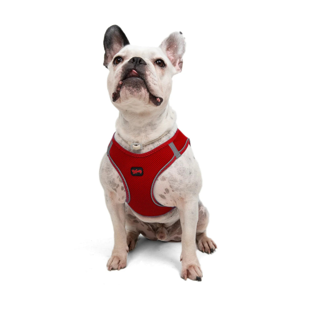 Tailpetz Air-Mesh Small Breed Dog Harness Red 48-54cm L