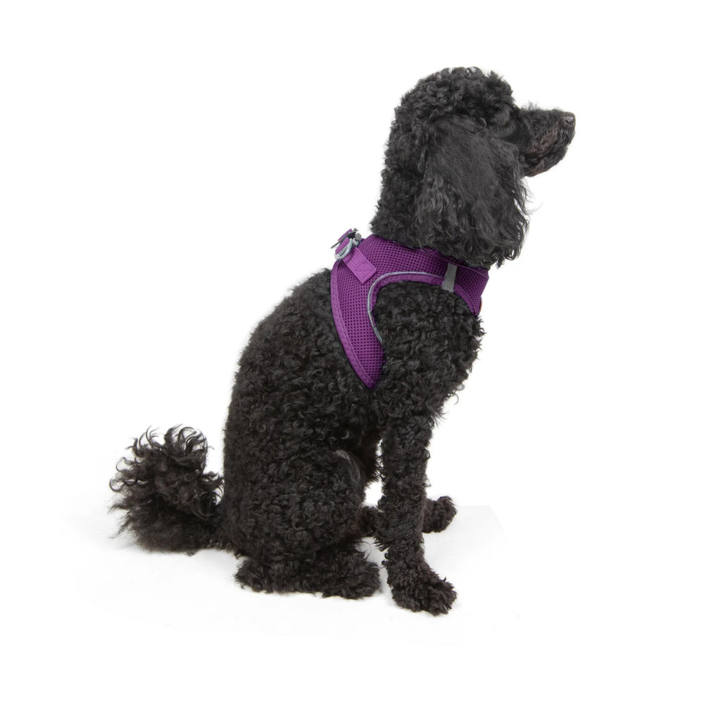 Tailpetz Air-Mesh Small Breed Dog Harness Purple XS 32-36cm