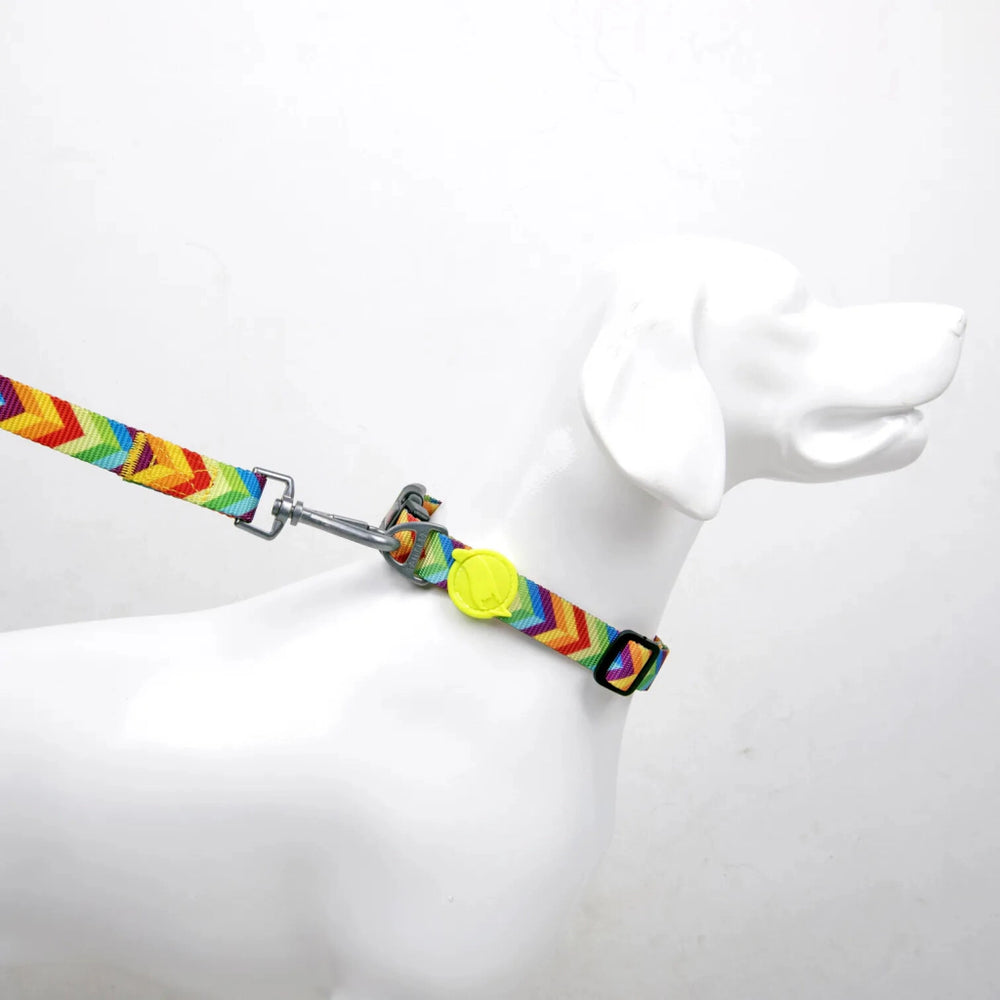 Tailpetz Rainbow Dog Collar Durable Comfort Design Large