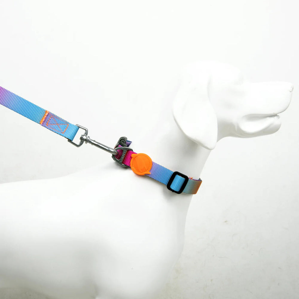 Tailpetz Pass Dog Collar [M] - Patterned Durable Collar for Dogs