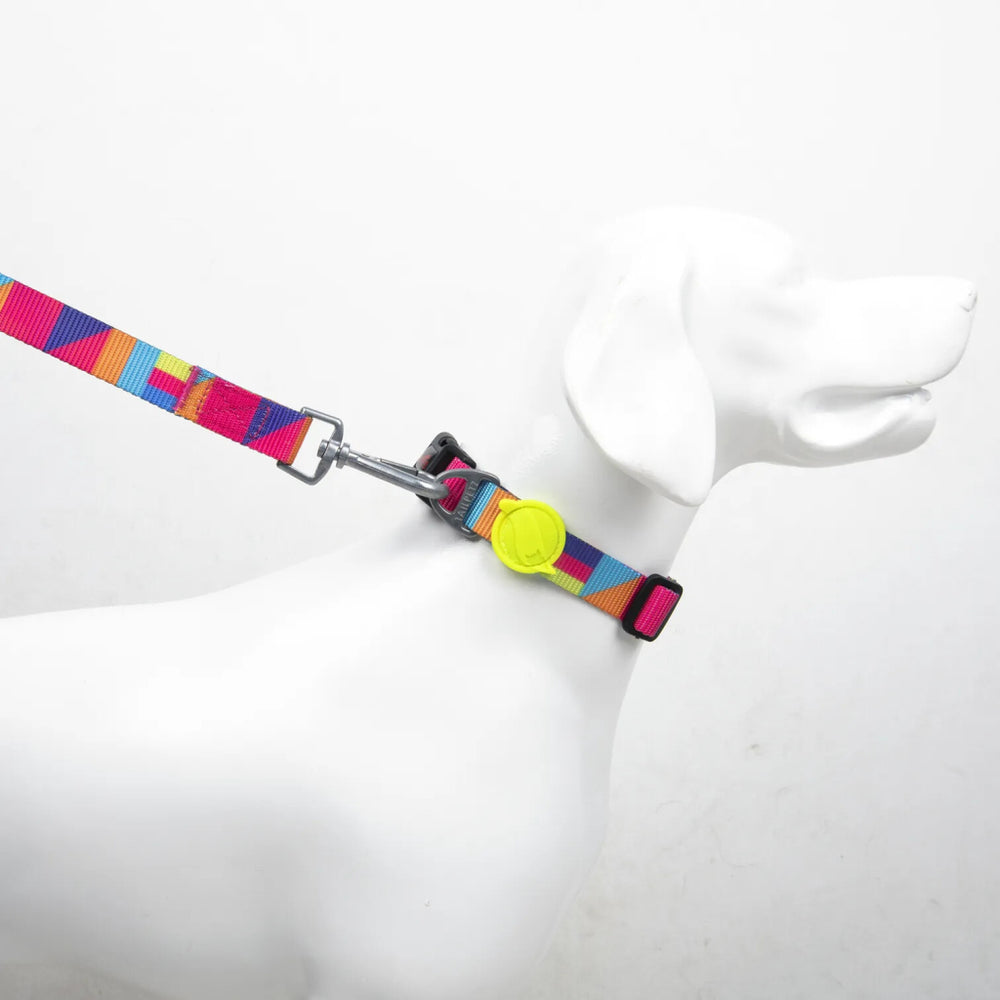 Tailpetz Spirit Patterned Dog Collar for Everyday Walks, Size S