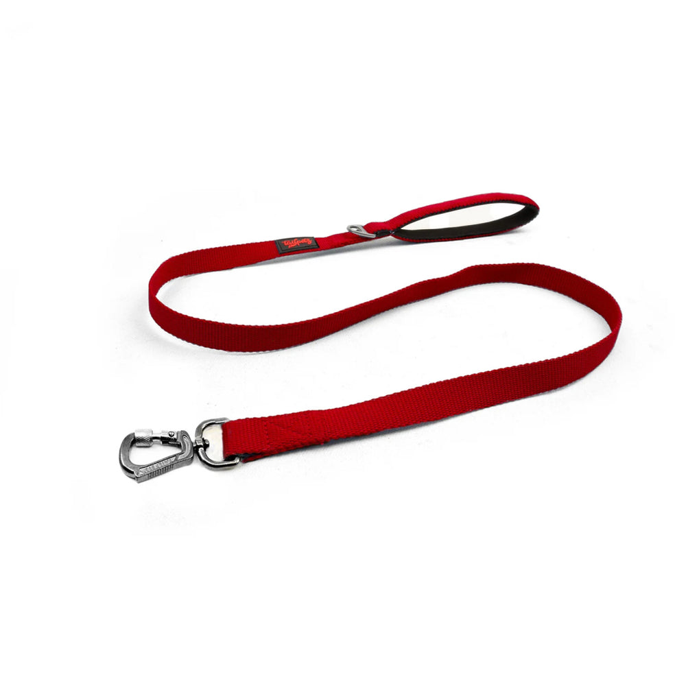 Tailpetz Match Dog Leash Durable Walking Strap Red 140cm x 2cm