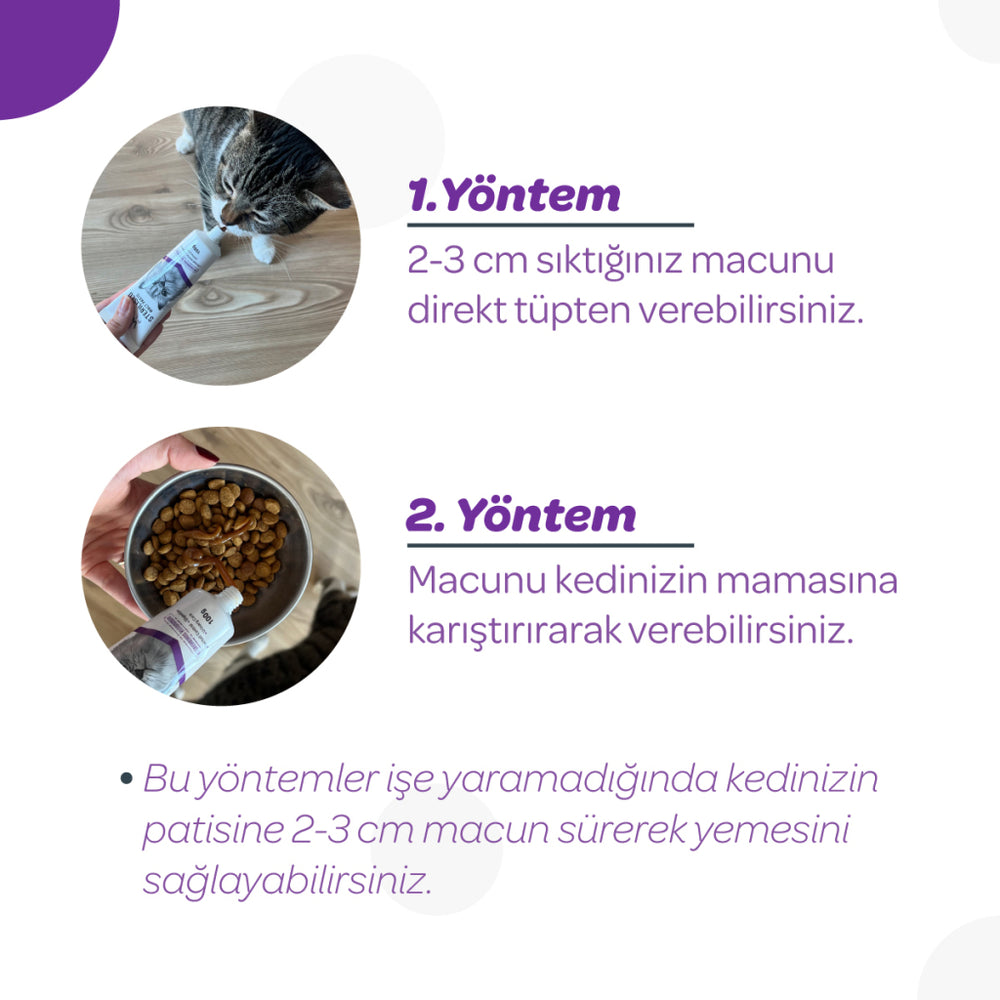 Vet's Plus Sterilized Cat Malt Paste for Urinary Support 100g