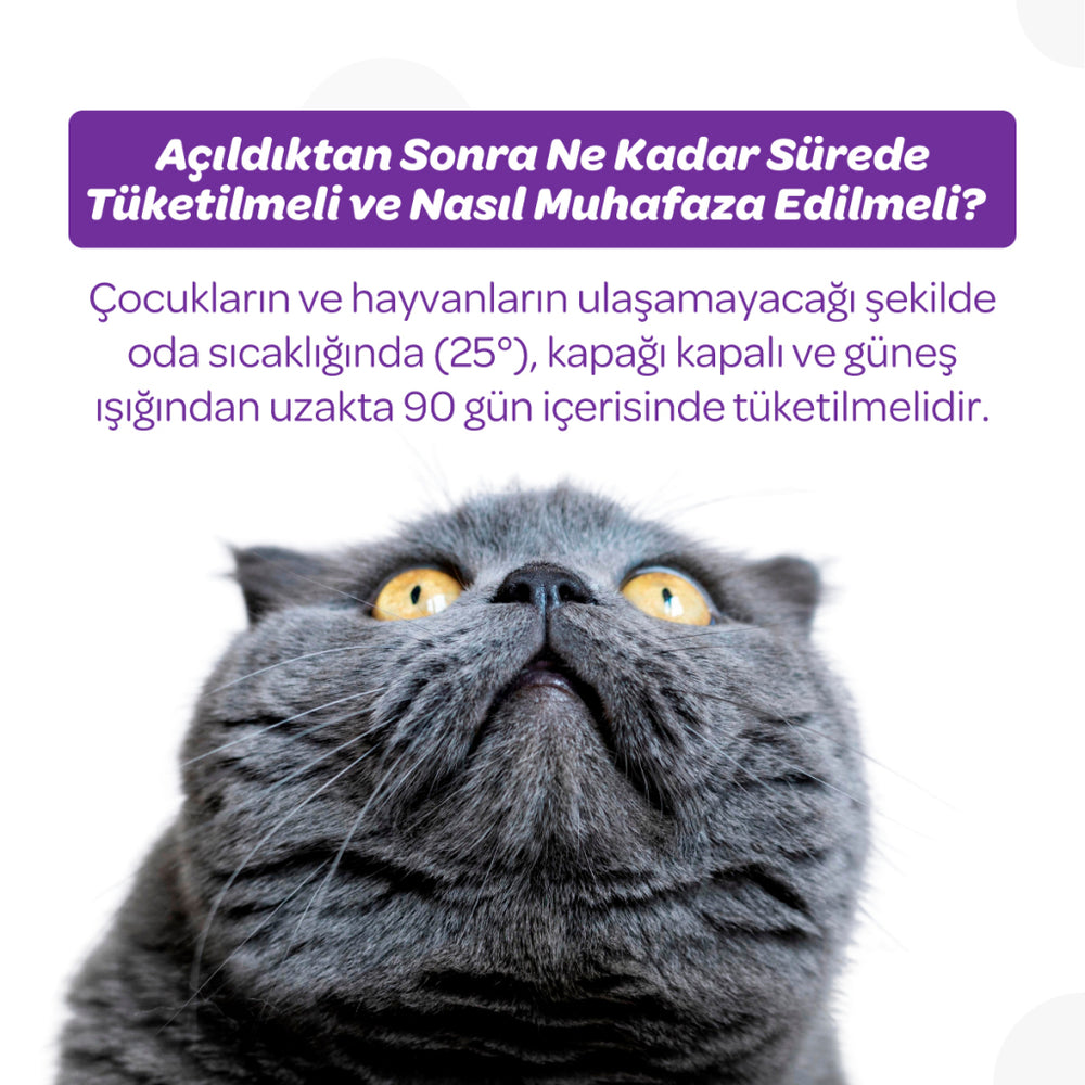 Vet's Plus Sterilized Cat Malt Paste for Urinary Support 100g