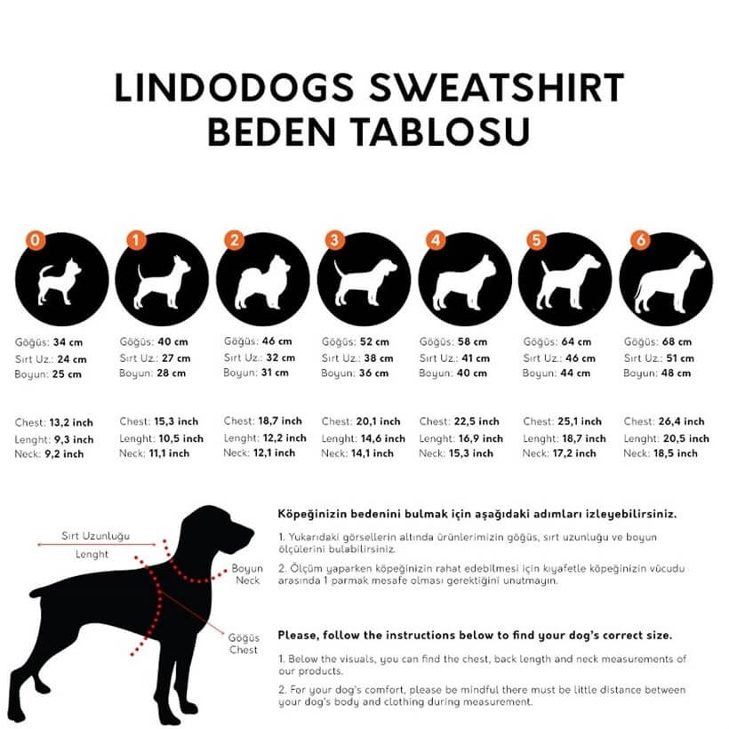 Lindo College Allstar Dog Sweatshirt Protective Pet Apparel Size 2