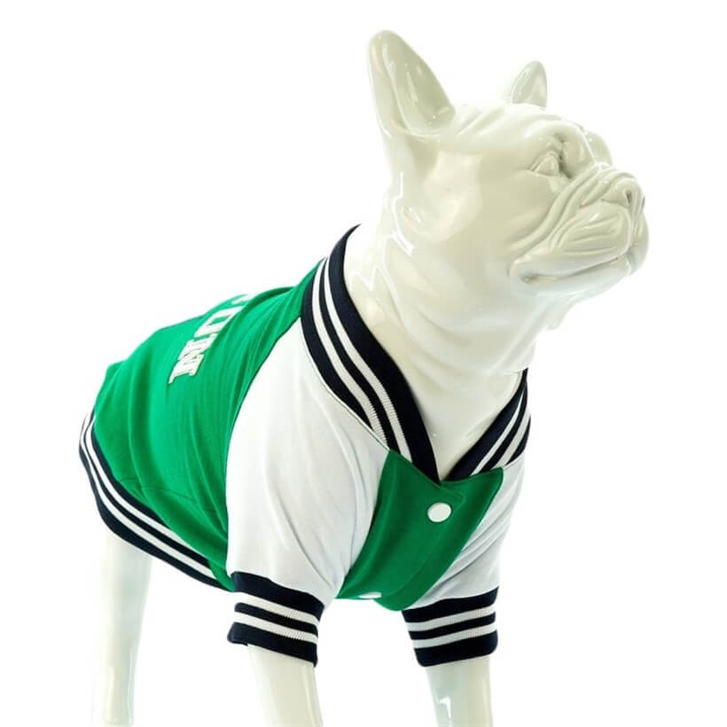 Lindo College BOSTON Dog Sweatshirt Protective Pet Apparel Size 1