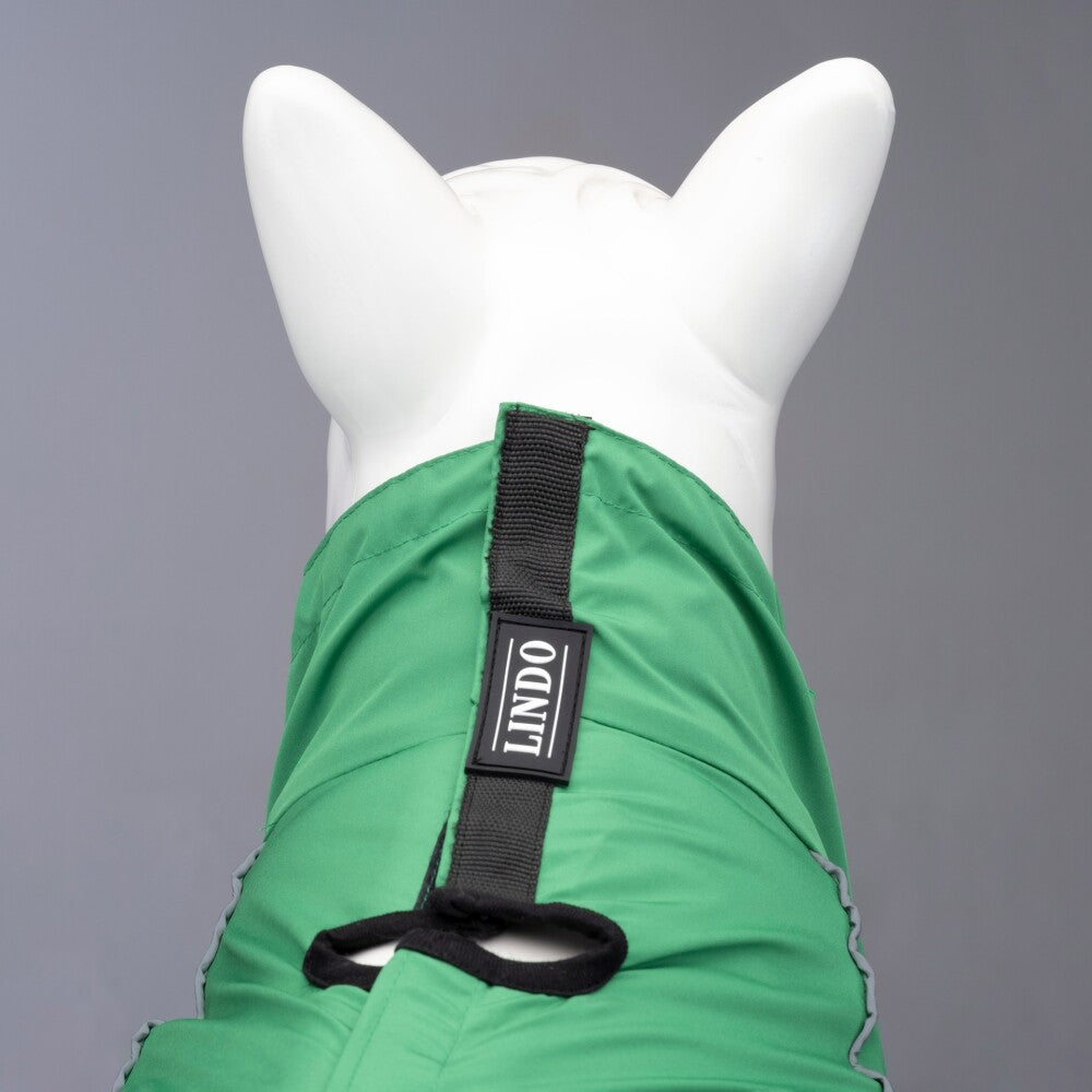 Lindo Dogs Quattro Nebula Dog Raincoat - Rain & Wind Protection, Size 5