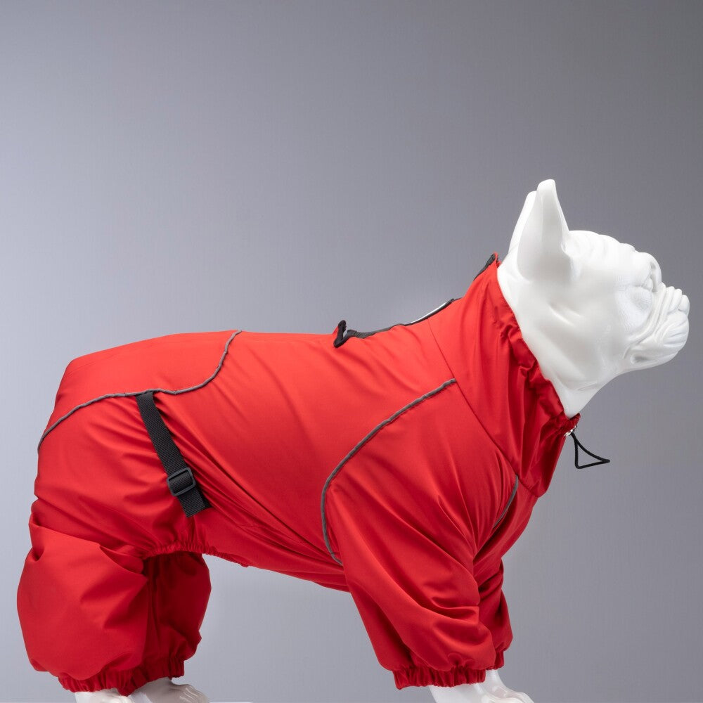 Lindo Dogs Quattro Nova Dog Raincoat, Size 5 - Rain & Wind Protection