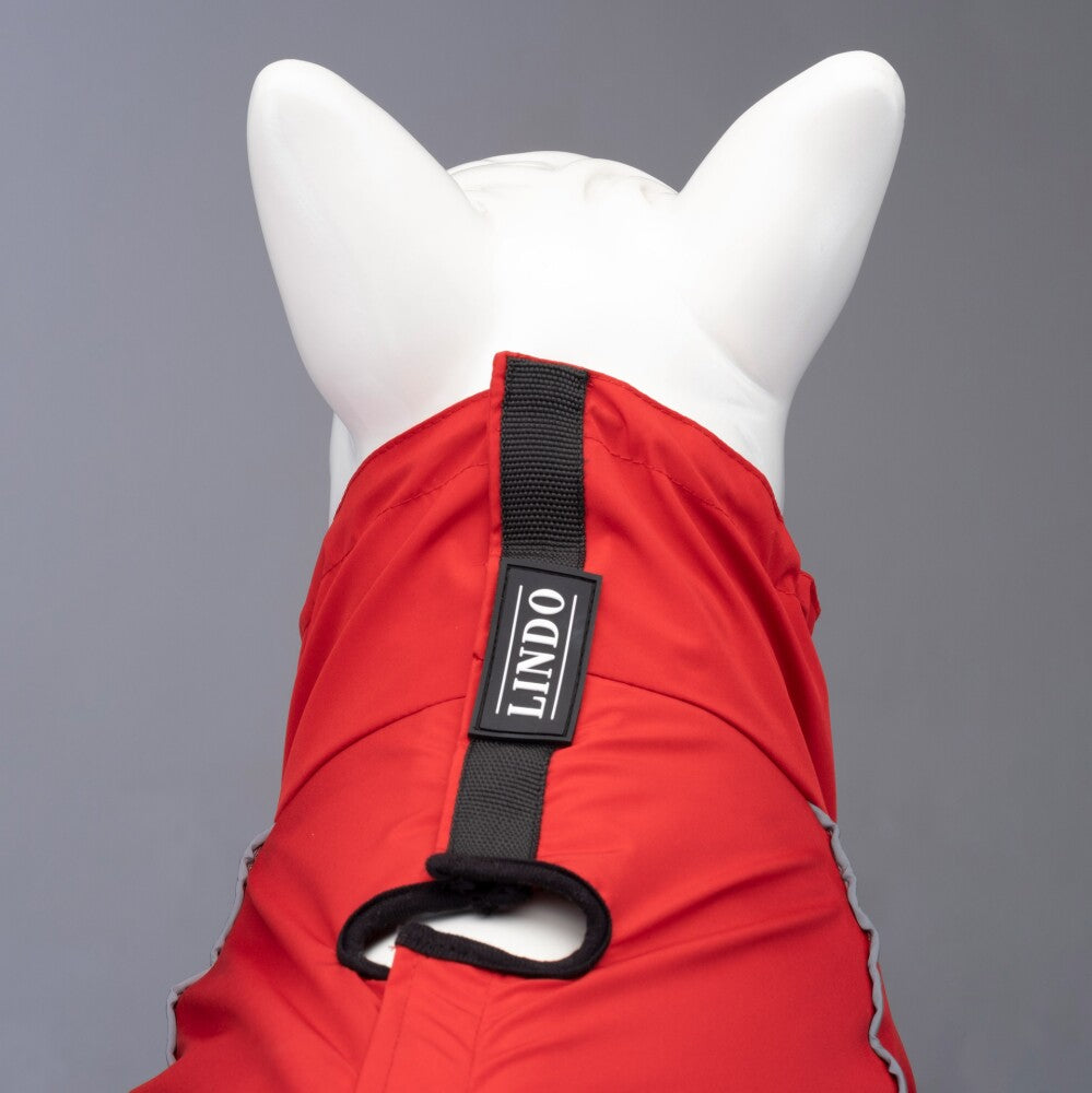 Lindo Dogs Quattro Nova Dog Raincoat, Size 5 - Rain & Wind Protection