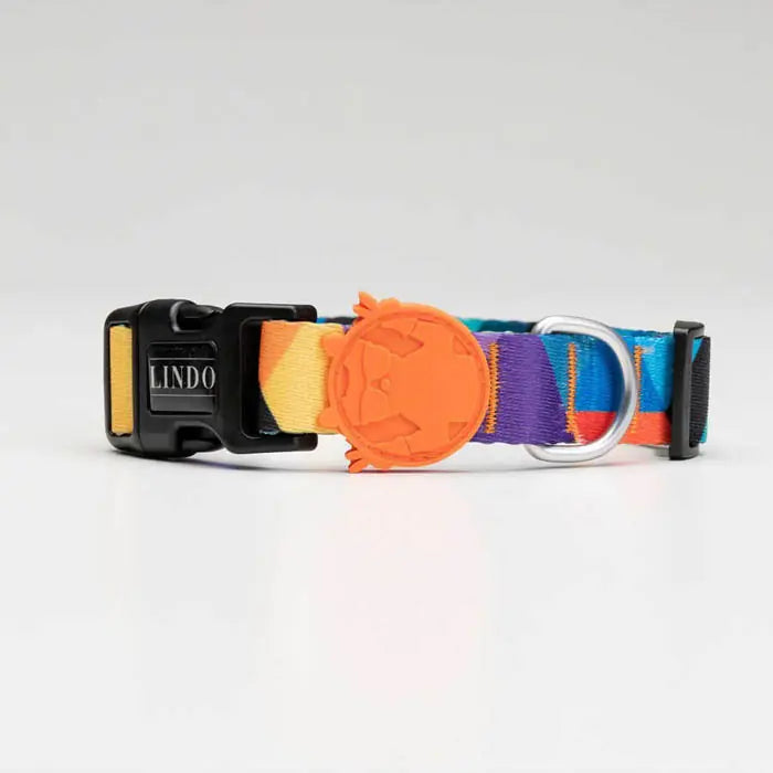 Lindo Ibiza Adjustable Dog Collar for Small Breeds 30-44cm