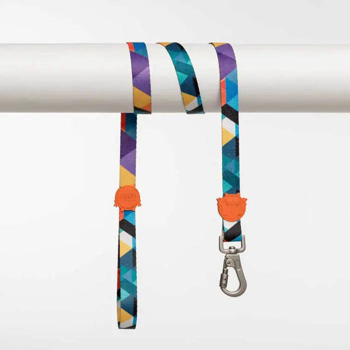Lindo Ibiza Dog Leash Durable Walking Strap 20mm x 120cm