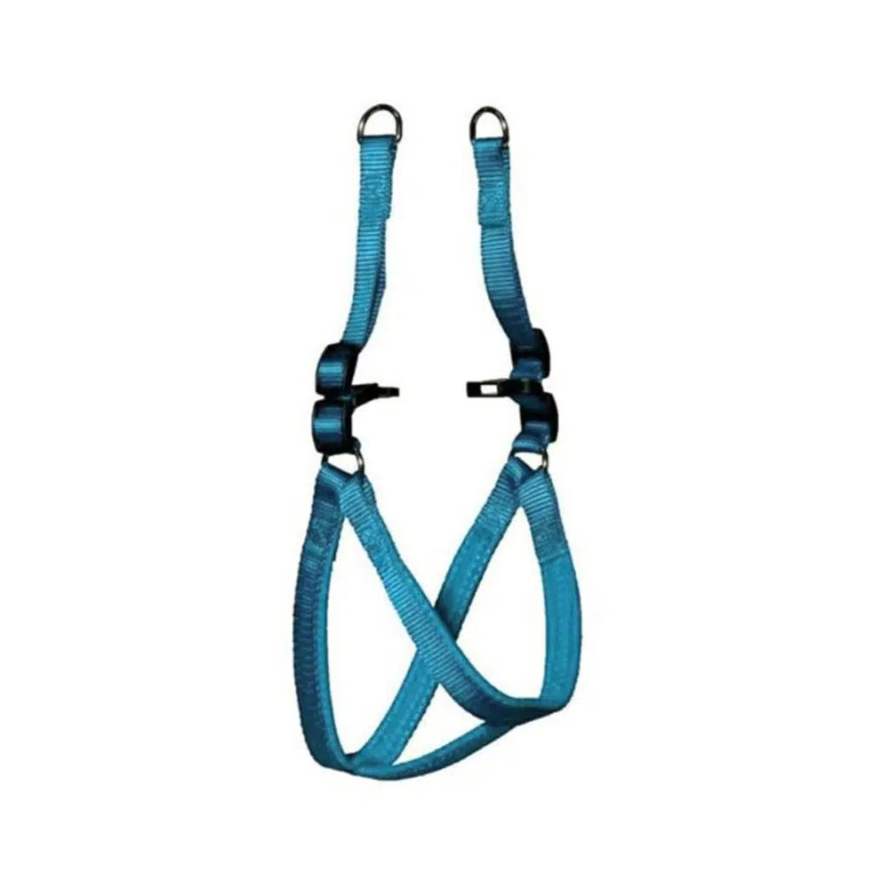 Lion Dog Harness and Leash Set for Small Breeds 1.5 cm