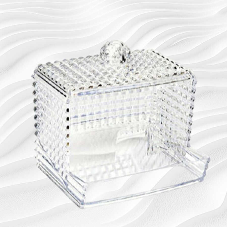Lionesse Cotton Swab Organizer for Tidy Storage 836