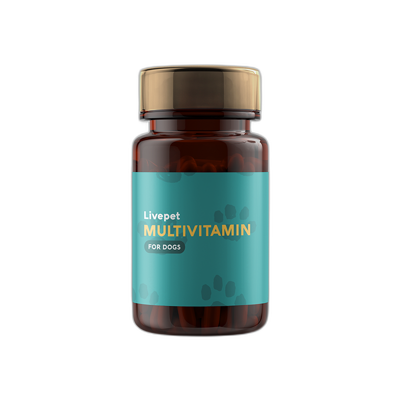 Livepet Multivitamin for Dogs Daily Health Support 45g