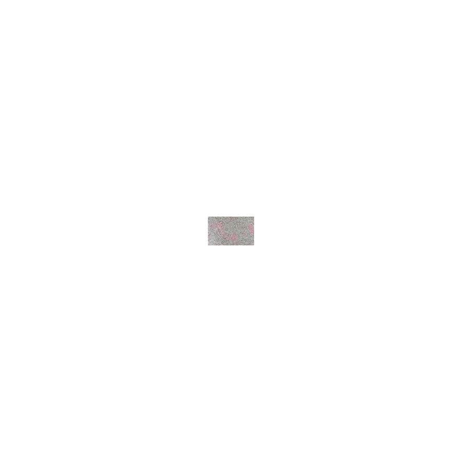 Giorgio Armani Eyes To Kill Eyeshadow 012 Shimmering Finish 4g