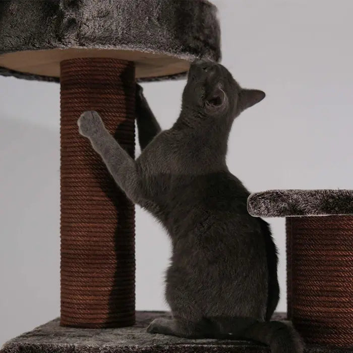Lotus Pet Design Istanbul Brown Cat Scratcher Post