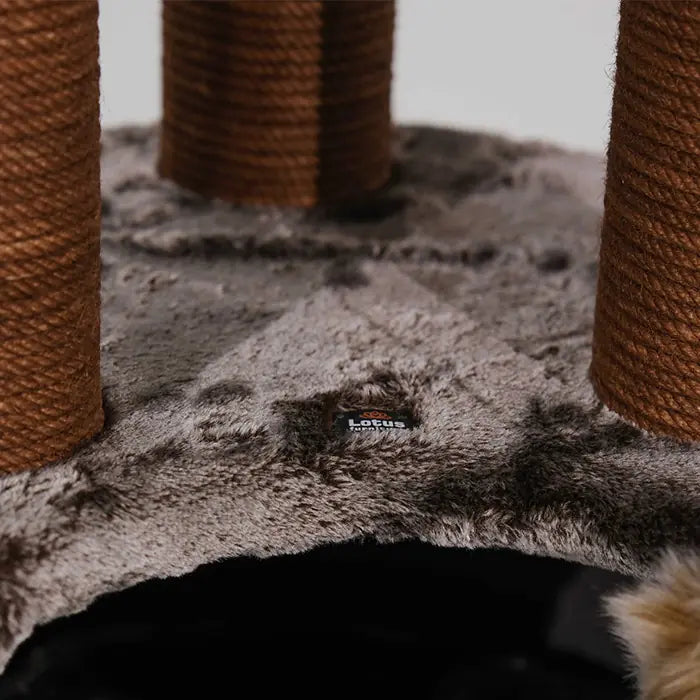 Lotus Pet Design Dubai Brown Cat Scratcher for Play 1 pc