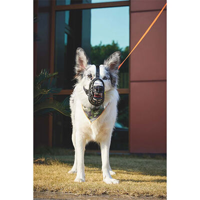 M-Pets Bark Guard Dog Muzzle Breathable Safety Design XL