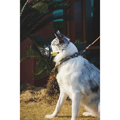 M-Pets Bark Guard Dog Muzzle Breathable Control XXL 22x19x9cm