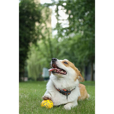 M-Pets Bloom Ball Durable E-TPU Dog Toy Yellow 7 cm