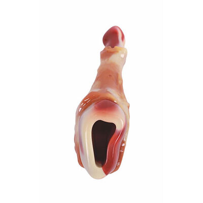 M-Pets Carnivore Bacon Flavored Drumstick Dog Chew Toy 12.4 cm