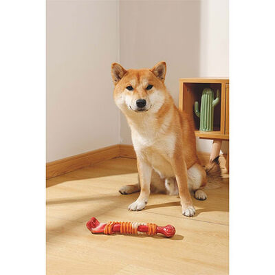 M-Pets Carnivore Stick Bone Bacon Scented Dog Toy Large 10in