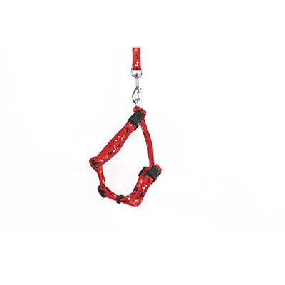 M-Pets Catogo Red Adjustable Cat Harness and Leash Set 90-170cm