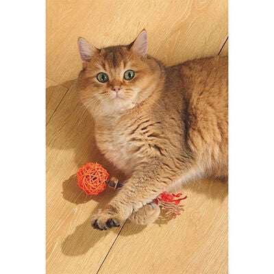 M-Pets Charmy Amulet Orange Matatabi Cat Toy 18 cm