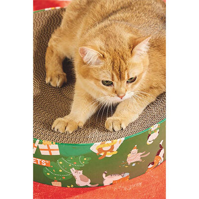 M-Pets Christmas Frosty Mix Cat Scratching Cardboard 41x10 cm